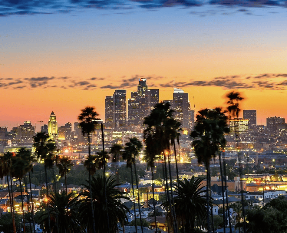 Los Angeles skyline and palm trees at sunset